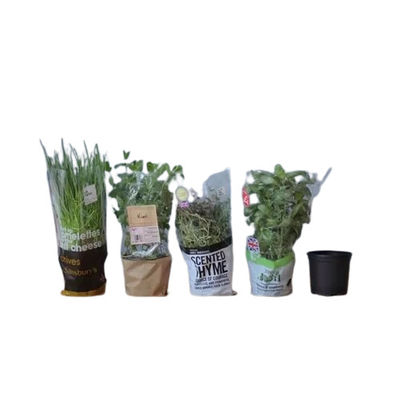 Op maat gedrukte doorzichtige BOPP-films voor het inpakken van bloemen en planten