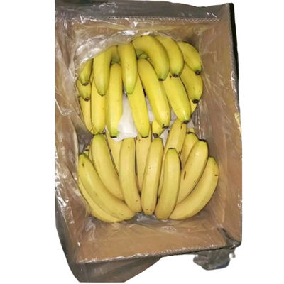 Plastic Banana Carton Liner Bags PE Perforated Bag voor fruit