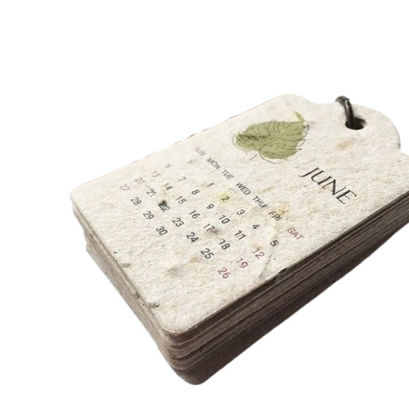 Handgemaakt gerecycled ingebed zaadpapier Eco-vriendelijk Houtvrij