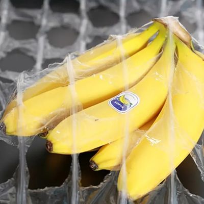 Voedsel- en plantenverpakking LDPE rekfilm 500 mm x 1420 m met 250% verlenging en duurzaam materiaal