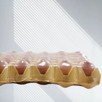 Eiertray POF-krimpfolie Micro-geperforeerde polyolefine warmtekrimpfolie Krimp-POF-folie